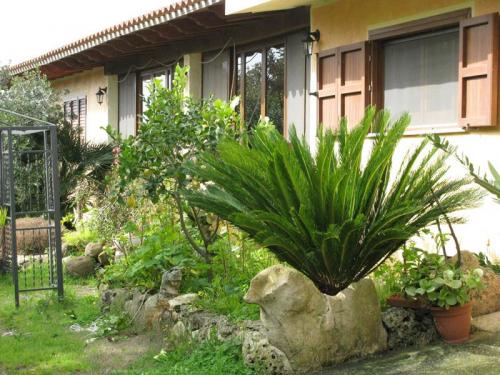 Agriturismo Bachile Bertula Sardegna