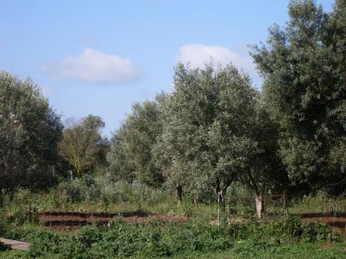 Agriturismo Bachile Bertula Sardegna