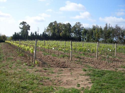 Agriturismo Bachile Bertula Sardegna