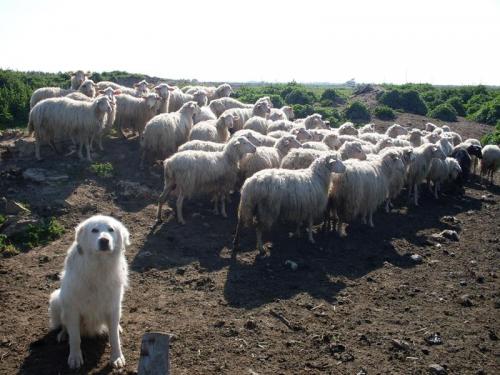 Agriturismo Bachile Bertula Sardegna