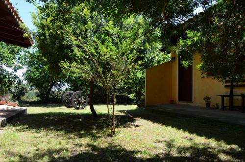 Agriturismo Bachile Bertula Sardegna (12)