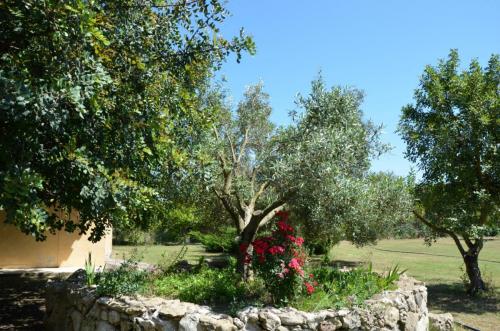 Agriturismo Bachile Bertula Sardegna (25)
