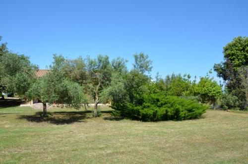 Agriturismo Bachile Bertula Sardegna (26)