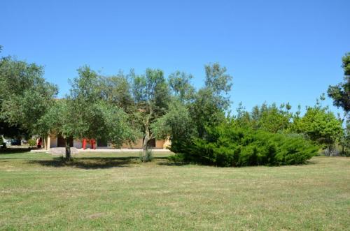 Agriturismo Bachile Bertula Sardegna (27)