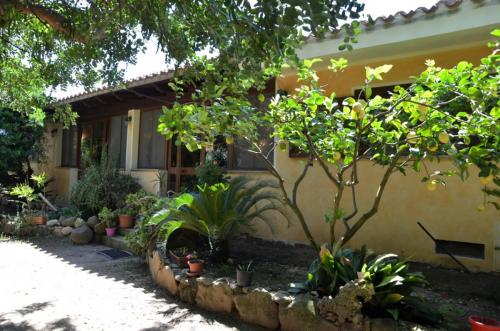 Agriturismo Bachile Bertula Sardegna (46)