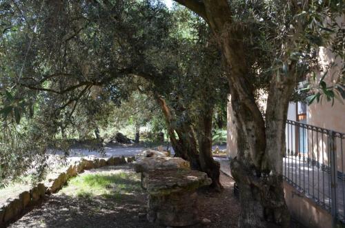 Agriturismo Bachile Bertula Sardegna (50)