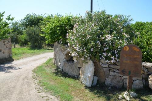 Agriturismo Bachile Bertula Sardegna (53)