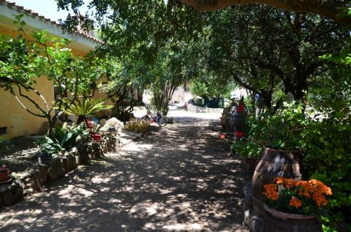 Agriturismo Bachile Bertula Sardegna (7)